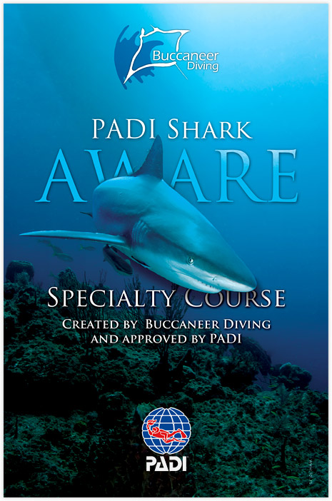 PADI Shark Aware
