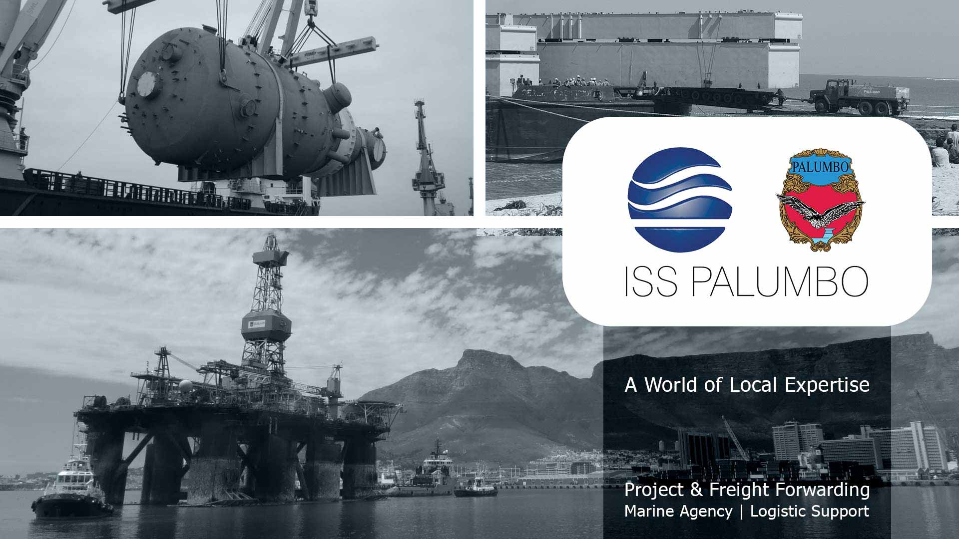 ISS Palumbo Presentation