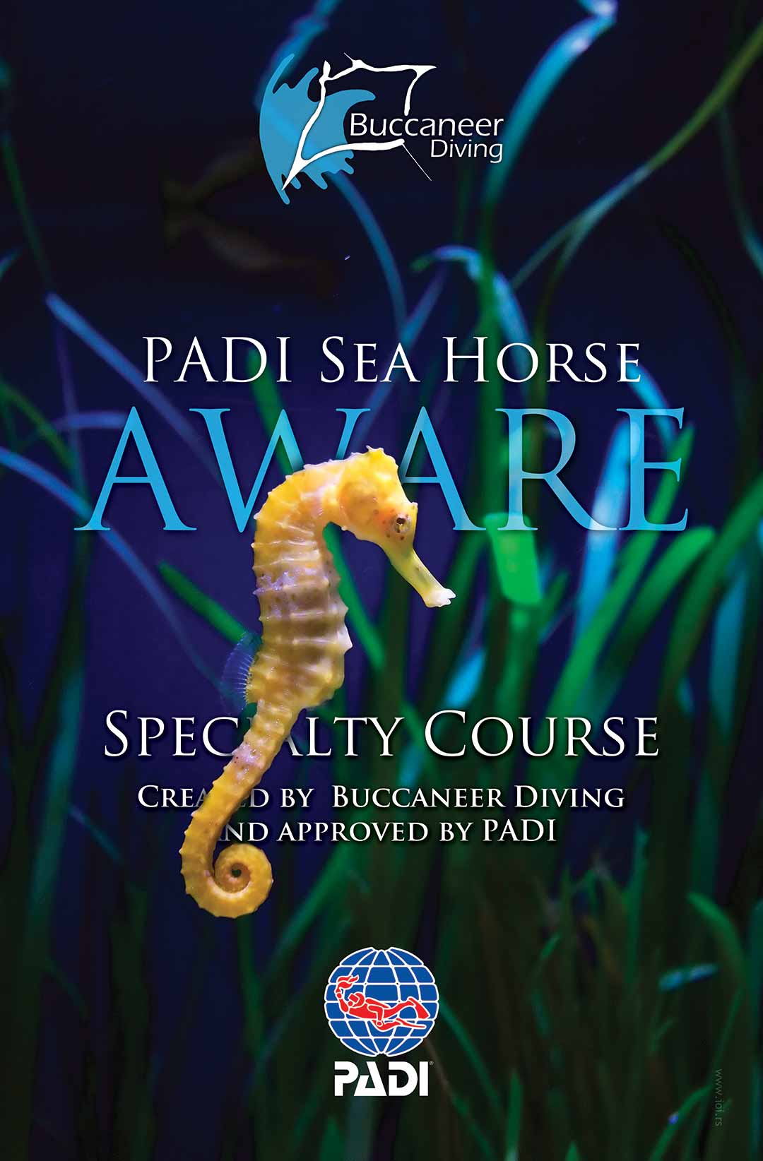 Padi Posters