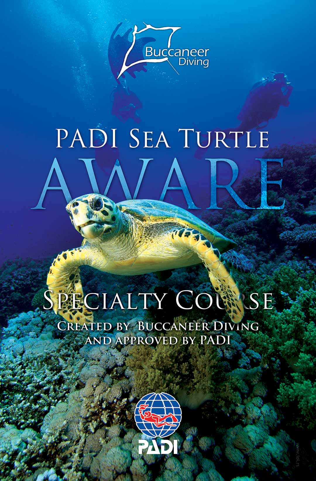 Padi Posters