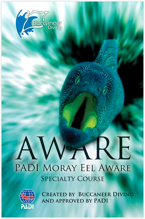 PADI Moray Eel Aware