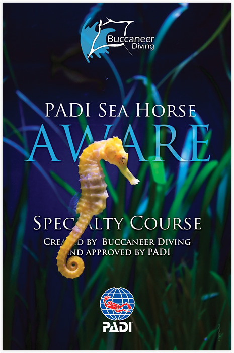 PADI Sea Horse Aware