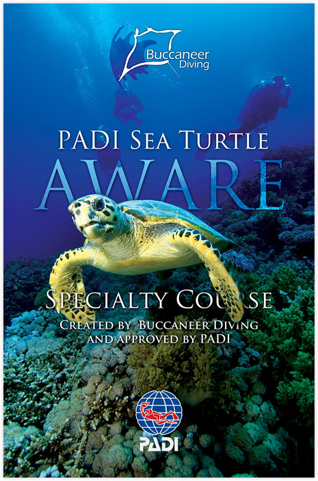 PADI Sea Turtle Aware